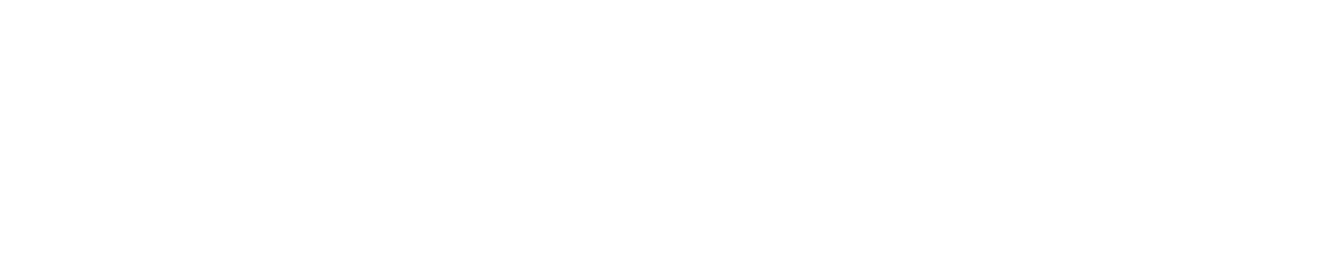 Logo DoubleVerify